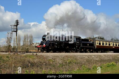 Train à vapeur passant par Goodrington sur le Dartmouth Steam Railway, en direction de Kingswear, transporté par BR Standard classe No 75014 Braveheart.13.04.2021. Banque D'Images