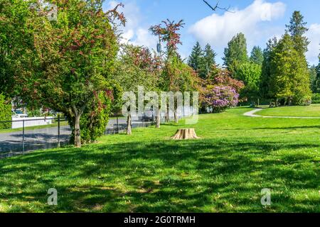 Une vue d'un parc de la ville avec fleurs en fleur au printemps. L'emplacement est Burien, Washington. Banque D'Images