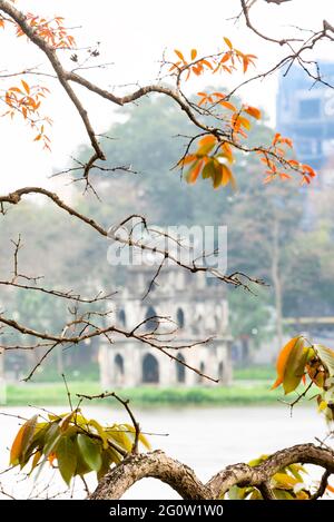 Branche de feuilles jaunes avec tour de tortue (tour Rua) sur la fondation du lac Ho Guom, le centre de Hanoi, beau paysage au printemps. Banque D'Images