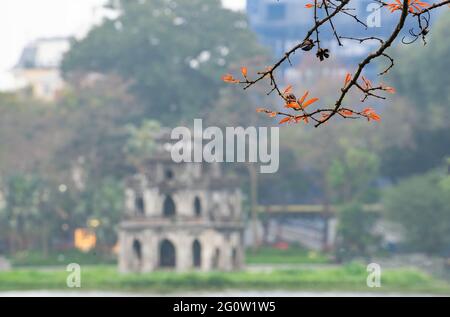 Branche de feuilles jaunes avec tour de tortue (tour Rua) sur la fondation du lac Ho Guom, le centre de Hanoi, beau paysage au printemps. Banque D'Images