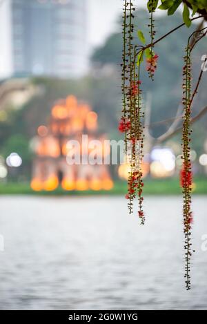 Tour de tortue, symbole du Vietnam, au crépuscule au lac Hoan Kiem (lac Ho Guom ou Sword) Banque D'Images