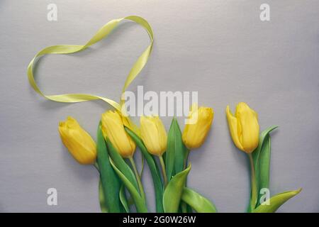 Cinq tulipes jaunes fraîches sur fond gris avec le coeur en ruban. Concept de vacances, jour Valentin, Journée internationale des femmes, Fête des mères. Photo horizontale avec espace de copie. Banque D'Images