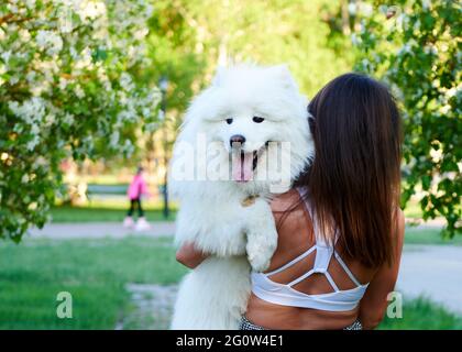 chien joyeux dans les bras de la fille Banque D'Images