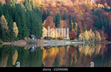 Paysage d'automne dans les montagnes avec des arbres se reflétant dans l'eau au fleuve Ana's Lake, Roumanie Banque D'Images