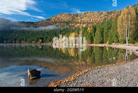 Paysage d'automne dans les montagnes avec des arbres se reflétant dans l'eau au fleuve Ana's Lake, Roumanie Banque D'Images