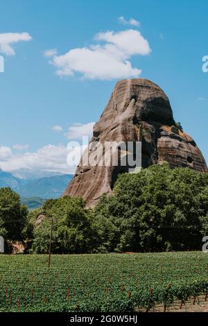Un vignoble de vallée pittoresque au pied d'une montagne. Vignes contre les montagnes impressionnantes. Grèce Banque D'Images