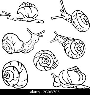 Illustration vectorielle des escargots noirs et blancs. Design pour livre de coloriage. Illustration de Vecteur