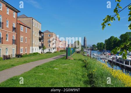 Nouveaux blocs d'appartements sur la banque de Witham avec la souche dans la distance et la marina de la passerelle sur la rivière. Banque D'Images