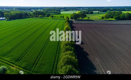 Magnifique paysage de début d'été avec arbres et champs. La photo a été prise en Allemagne. Banque D'Images