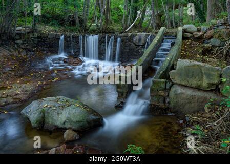 Cascade dans la rivière principale de la Riera, à côté de Viladrau, à Montseny (Catalogne, Espagne) Banque D'Images