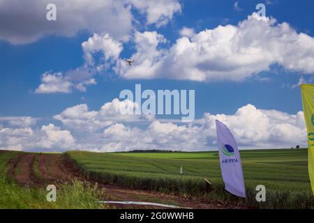 '50 nuancess' vert - zones avec différentes céréales, orge et blé sur fond de ciel bleu avec des nuages blancs Banque D'Images