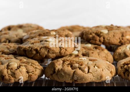 Plateau de cookies en gros plan. Petits gâteaux faits maison fraîchement sortis du four sur la plaque de cuisson Banque D'Images