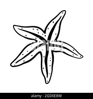 Starfish isolé sur fond blanc. Illustration vectorielle dessinée à la main, style doodle. Parfait pour votre projet, carte, logo, décorations. Illustration de Vecteur