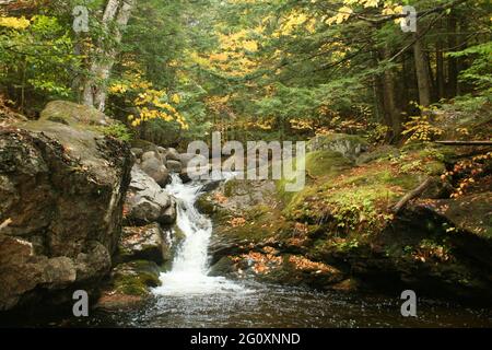 Petite cascade de cours d'eau de forêt se déroulant sur des roches humides de granit au début de la saison des pluies d'automne Banque D'Images