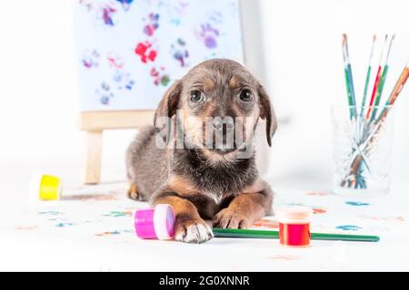 chiot mongrel avec pinceaux, peintures et chevalet avec une image sur fond clair Banque D'Images