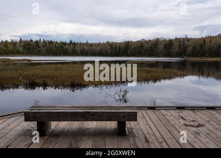 Au printemps, banc au bord du marais et du lac Boivin dans le parc naturel du Mont-Belair, Québec. Banque D'Images