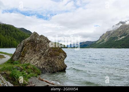 Vue sur une prairie avec fleurs et Silvaplanersee le long de Swiss Engadin Banque D'Images