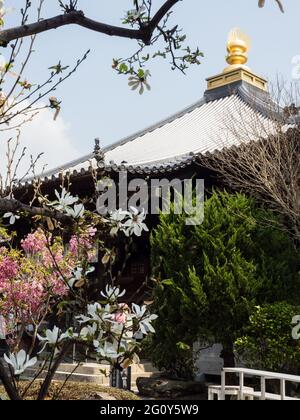 Naruto, Japon - 2 avril 2018 : sur les terres de Ryozenji, temple numéro 1 du pèlerinage de Shikoku-henro Banque D'Images