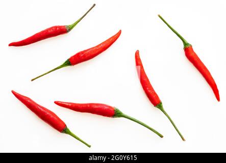 Vue de dessus un peu de piment rouge ou de piment Jinda en langue thaï, image en gros plan, Chili frais disposé comme un motif sur fond blanc. Banque D'Images