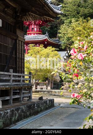 Naruto, Japon - 2 avril 2018 : sur le terrain de Konsenji, temple numéro 3 en pèlerinage à Shikoku Banque D'Images