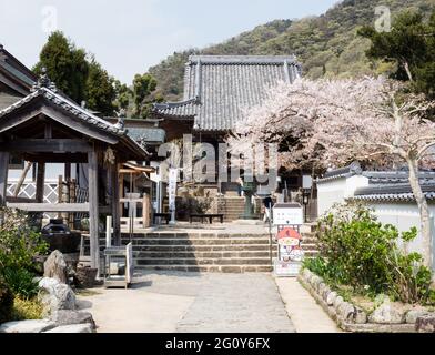 Naruto, Japon - 2 avril 2018 : printemps à Dainichiji, temple numéro 4 en pèlerinage à Shikoku Banque D'Images