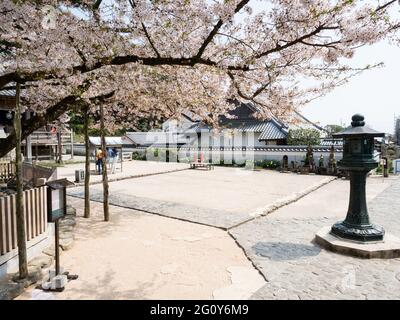 Naruto, Japon - 2 avril 2018 : printemps à Dainichiji, temple numéro 4 en pèlerinage à Shikoku Banque D'Images