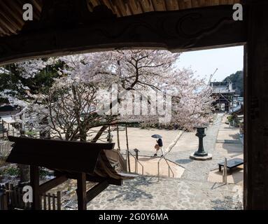 Naruto, Japon - 2 avril 2018 : printemps à Dainichiji, temple numéro 4 en pèlerinage à Shikoku Banque D'Images