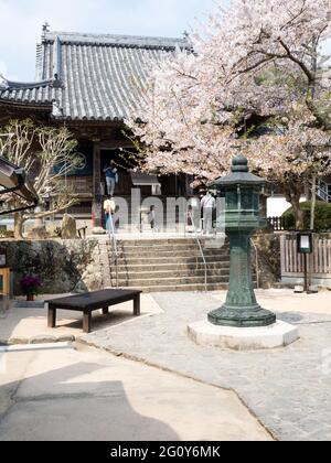 Naruto, Japon - 2 avril 2018 : printemps à Dainichiji, temple numéro 4 en pèlerinage à Shikoku Banque D'Images