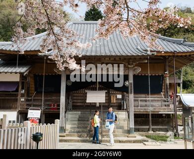 Naruto, Japon - 2 avril 2018 : printemps à Dainichiji, temple numéro 4 en pèlerinage à Shikoku Banque D'Images