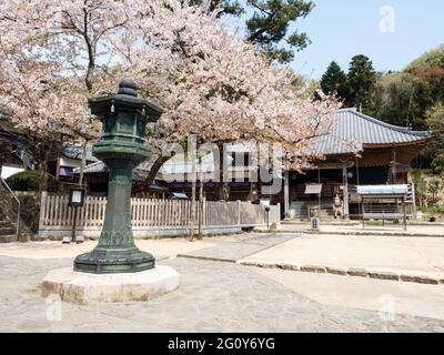 Naruto, Japon - 2 avril 2018 : printemps à Dainichiji, temple numéro 4 en pèlerinage à Shikoku Banque D'Images