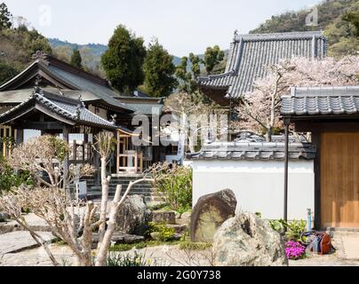 Naruto, Japon - 2 avril 2018 : printemps à Dainichiji, temple numéro 4 en pèlerinage à Shikoku Banque D'Images