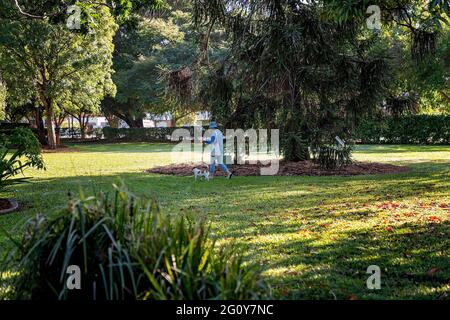 MacKay, Queensland, Australie - 2021 juin : une femme marchant son chien dans les jardins botaniques lors d'une matinée ensoleillée et lumineuse Banque D'Images