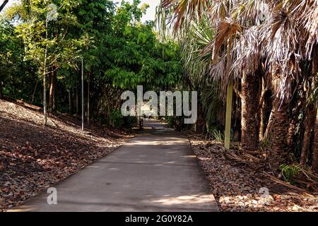 MacKay, Queensland, Australie - juin 2021 : homme et femme marchant dans les jardins botaniques pour faire de l'exercice Banque D'Images