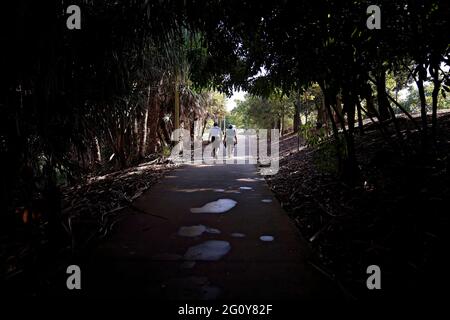 MacKay, Queensland, Australie - juin 2021 : homme et femme marchant dans les jardins botaniques pour faire de l'exercice Banque D'Images