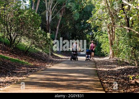 MacKay, Queensland, Australie - juin 2021 : deux mères poussent des landaus avec leurs enfants pendant qu'elles s'exercent dans les jardins botaniques Banque D'Images