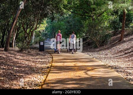 MacKay, Queensland, Australie - juin 2021 : deux mères poussent des landaus avec leurs enfants pendant qu'elles s'exercent dans les jardins botaniques Banque D'Images