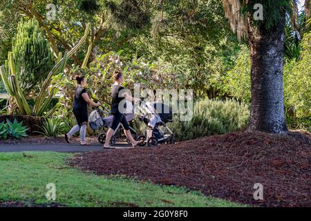 MacKay, Queensland, Australie - juin 2021 : deux mères poussent leurs bébés dans des landaus pendant qu'elles s'exercent dans les jardins botaniques Banque D'Images