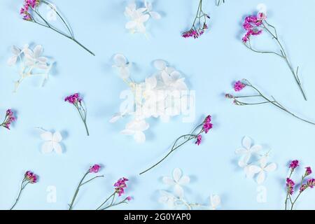 Fleurs blanches et violettes séchées sur fond bleu. Pose à plat Banque D'Images