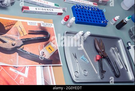 Un scientifique de police extrait un échantillon d'ADN d'une paire de pinces dans un laboratoire de crime, image conceptuelle Banque D'Images