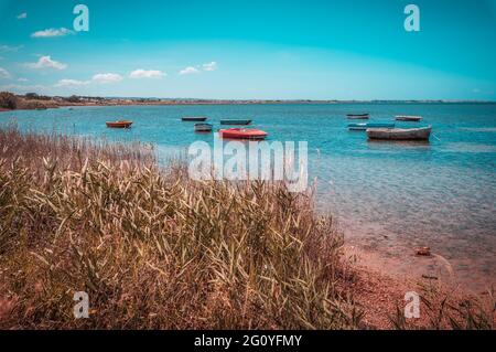 Panorama de Laguna dello Stagnone, Marsala, Trapani, Sicile, Italie, Europe Banque D'Images