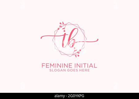 TB beauté monogramme et élégant logo design écriture logo de la signature initiale, mariage, mode, floral et botanique avec modèle créatif. Illustration de Vecteur