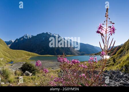 FRANCE. HAUTES-ALPES (05), PARC NATIONAL DES ECRINS, VALLÉE DE LA HAUTE-ROMANCHE, VILLAGE DE LA GRAVE, LES COURS, LAC PONTET ET MONTAGNE LA MEIJE Banque D'Images