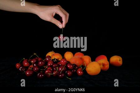 Toujours de cerises et d'abricots avec une main cueillant une cerise sur fond noir Banque D'Images