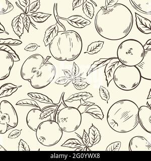 Motif sans couture avec pommes, vecteur. Fruits entiers et moitiés, sur une branche et des feuilles. Esquisse de mise en plan manuelle. Arrière-plan de style vintage. Gravure à la main Illustration de Vecteur