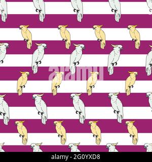 Vecteur blanc fond oiseaux tropicaux, perroquets, oiseaux exotiques de cacatoès. Arrière-plan sans couture Illustration de Vecteur