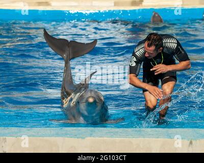 MADRID, ESPAGNE - 08 août 2010 : Dauphin avec un entraîneur posant pour le public dans le delphinarium Banque D'Images