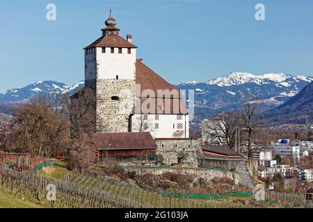 Le château de Werdenberg et les montagnes de la forêt de Bregenz Banque D'Images