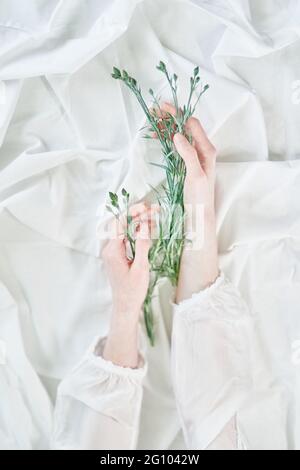 Filles mains tenant petit bleu Forget me pas ou myosotis fleurs avec fond blanc de tissu, vue de dessus avec espace de copie. Carte de vœux à motif fleuri doux et créatif. Beau concept esthétique de printemps Banque D'Images