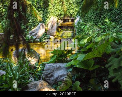 Vue à travers le feuillage au-dessus de la fontaine en cascade au milieu d'une végétation luxuriante avec de l'eau qui coule dans un étang de forme ronde. Ambiance chaleureuse dans le parc Sofiyivka. Banque D'Images