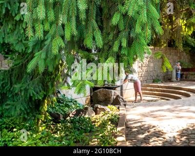 Vue à travers les branches de sapin sur l'image floue d'une femme se pliant au-dessus de la fontaine d'eau potable et un garçon debout à proximité dans le parc Sofiyivka. Banque D'Images